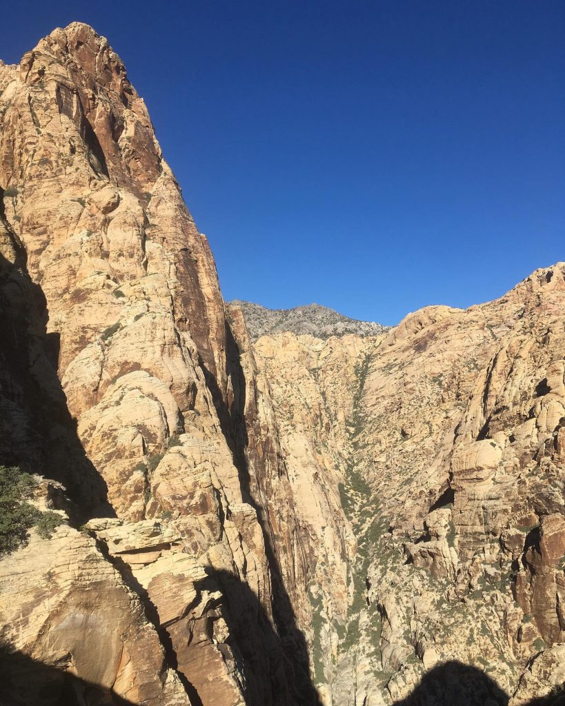 Epinephrine - Foto FB Alex Honnold