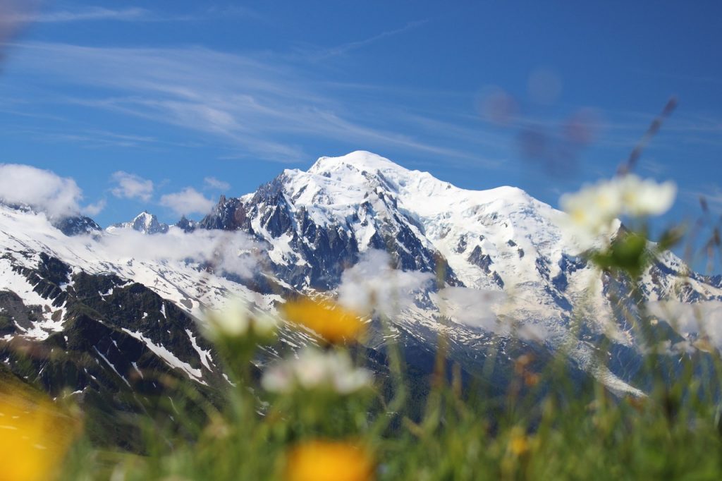 monte bianco, habitat