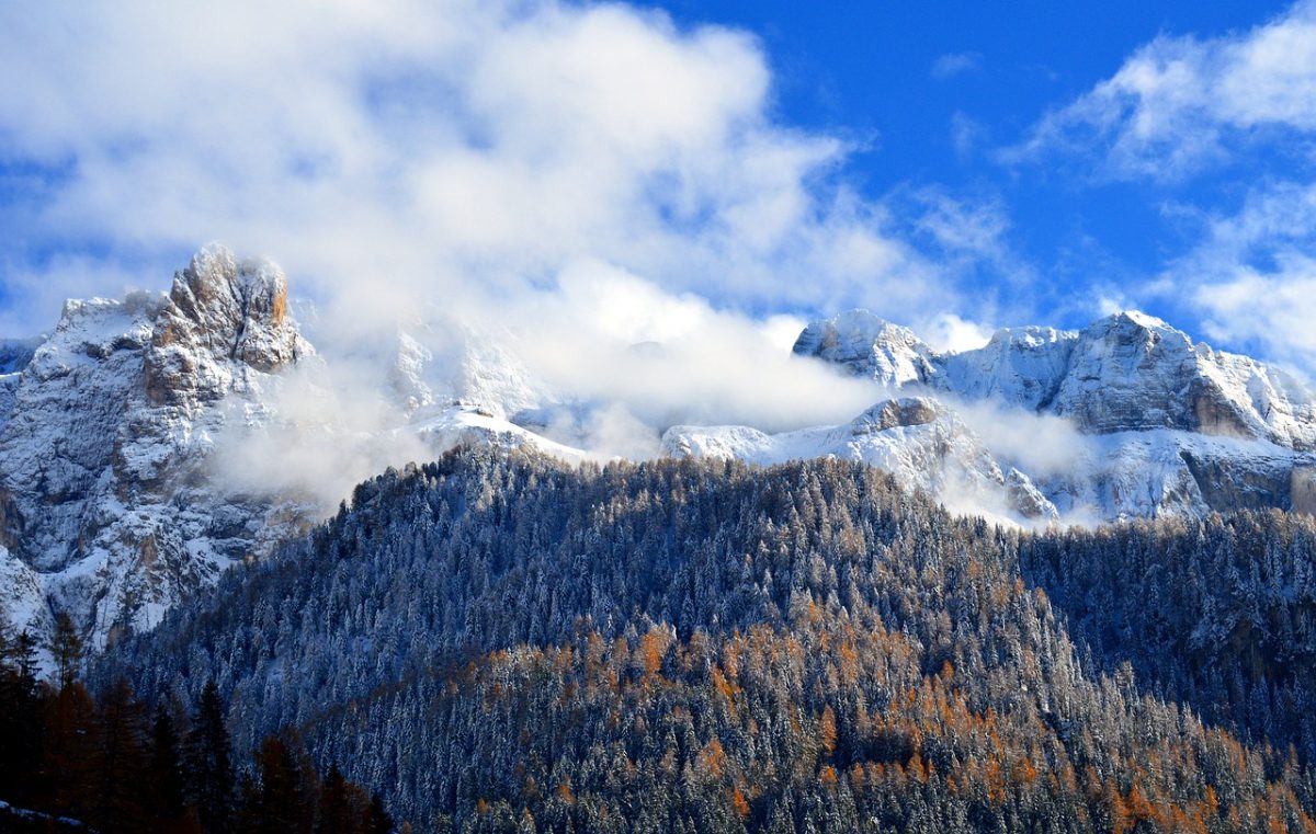 neve