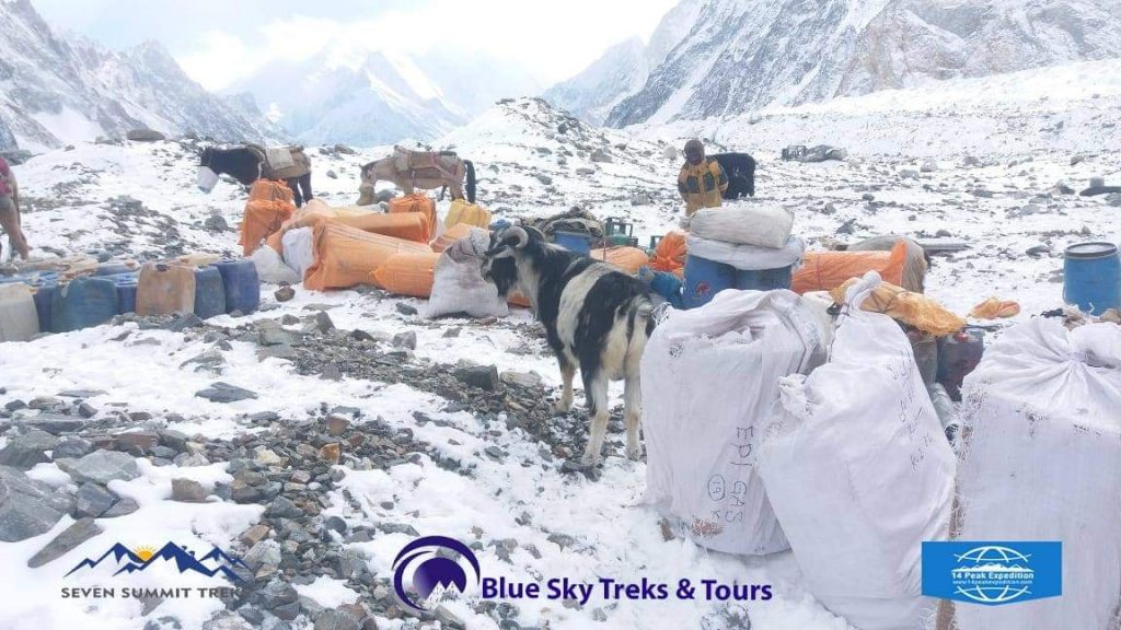 Stagione 2020/21. Materiale della Seven Summit Treks già al CB del K2. 