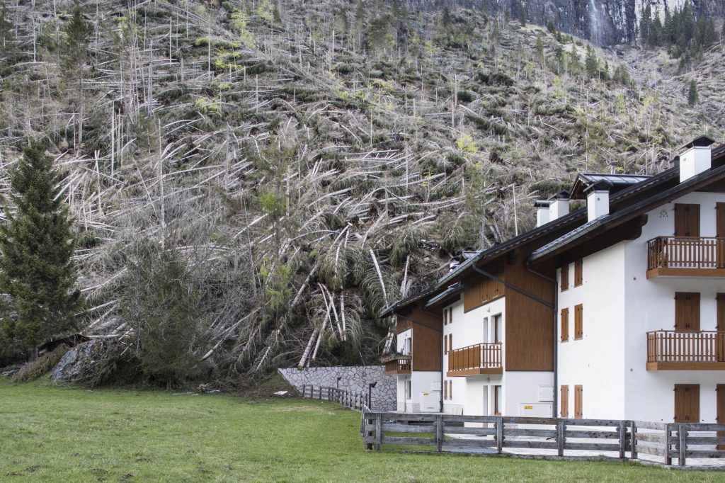 Dopo il passaggio di Vaia a a Borca di Cadore. Foto @ Dolomiti Contemporanee 