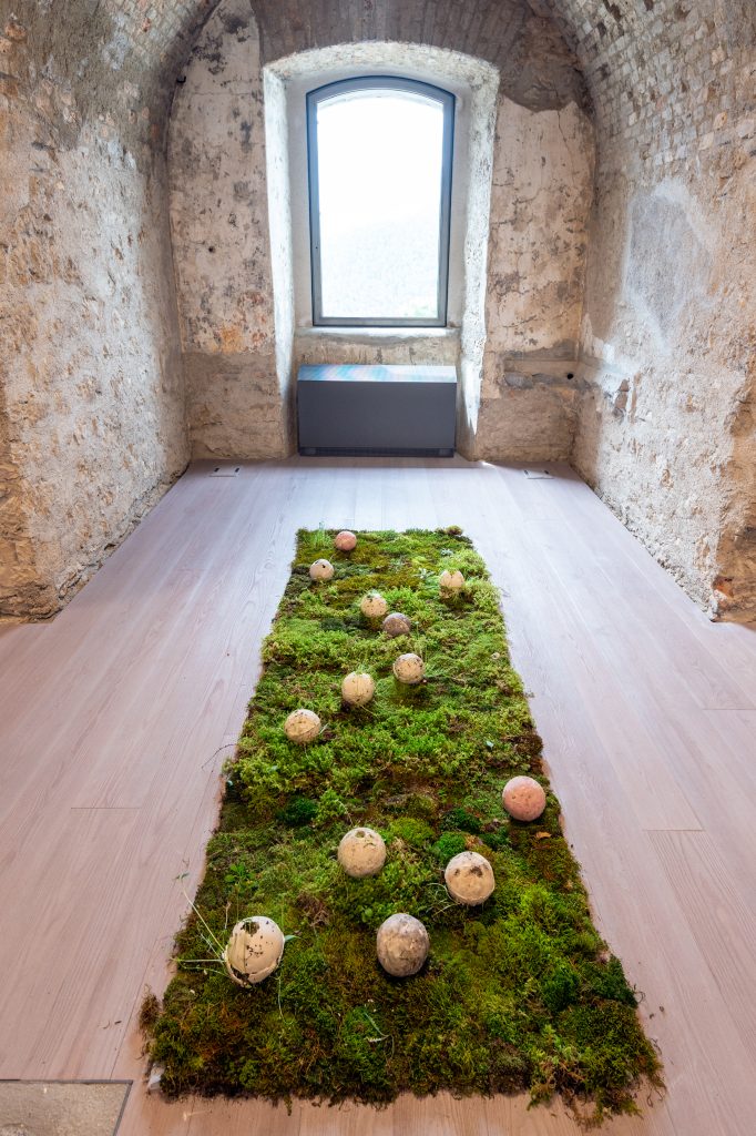 Anna Groaz, Co-creazione, 2019, Argilla bianca, semi, muschio. Installazioni di dimensioni variabili. Sfere diametro 12 cm. Opera inclusa nella mostra “To be Here and There”, Forte di Monte Ricco, a cura di G. D’Incà Levis e Evelyn Leveghi, giugno 2019. Foto Giacomo De Donà.