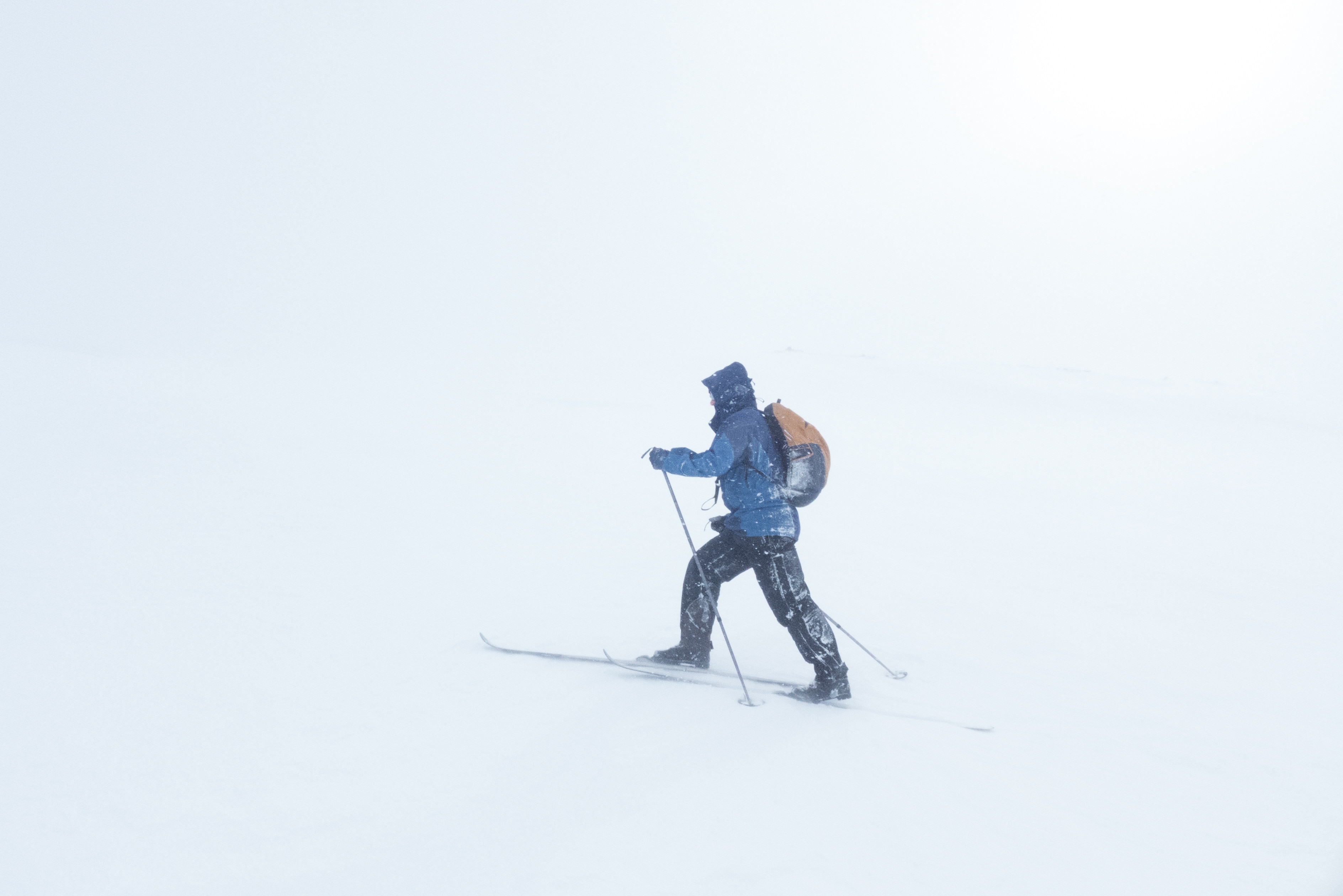 Foto archivio © Birgit Ryningen/VW Pics via ZUMA Wire - ANSA