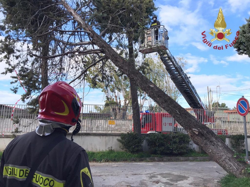 Danni da vento nel casertano - ANSA/ VIGILI DEL FUOCO