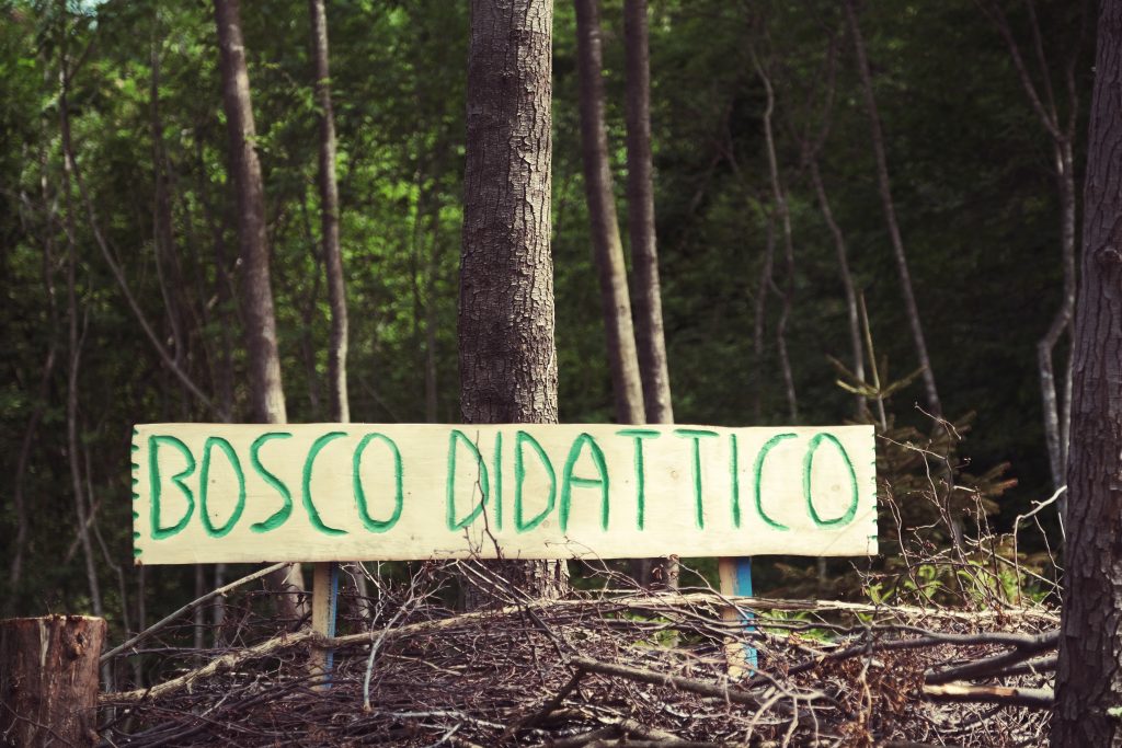 Progetto La fattoria del legno. Foto @ PEFC Italia