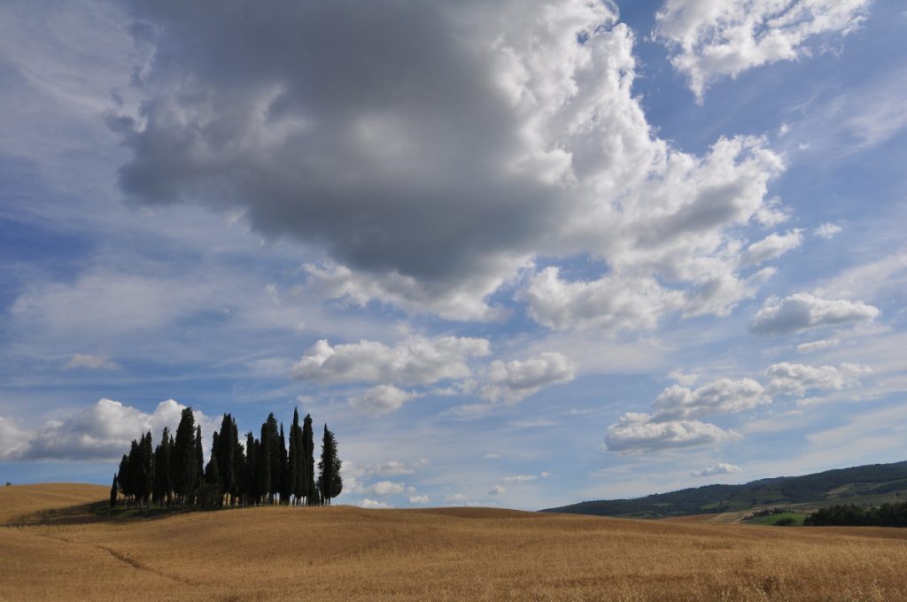 Le Crete Senesi, sulla Via Francigena