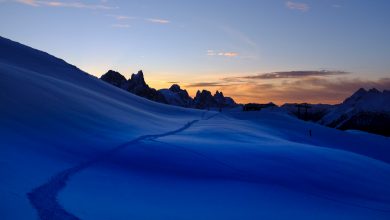 Foto @ Markus Voetter on Unsplash