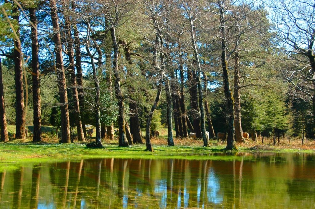 Sentiero del Brigante - Foto FAI