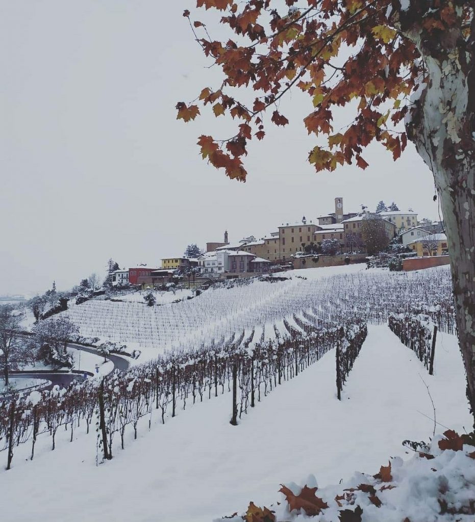 Vigneti delle Langhe - Foto FB Centro Meteo Piemonte CMP