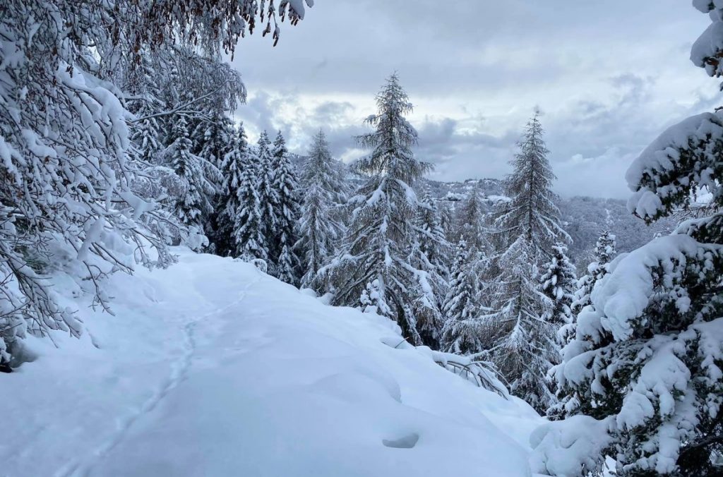 monte bondone, neve