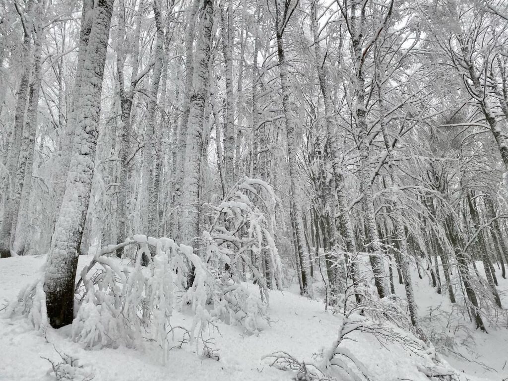 Quasi 80 cm di neve caduta al Terminillo - Foto FB Terminillo Trekking 360