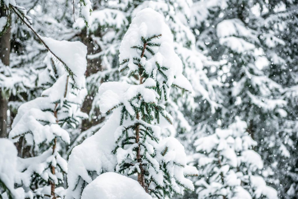 Foto FB Courmayeur Mont Blanc