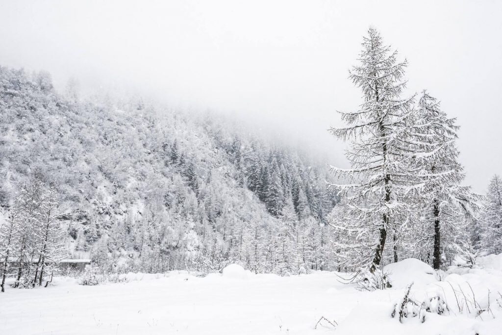 Foto FB Courmayeur Mont Blanc