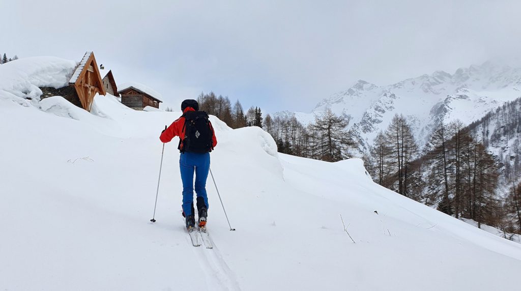 Malga Cercena bassa, verso il Monte Sole, foto di Roberto Misseroni_02