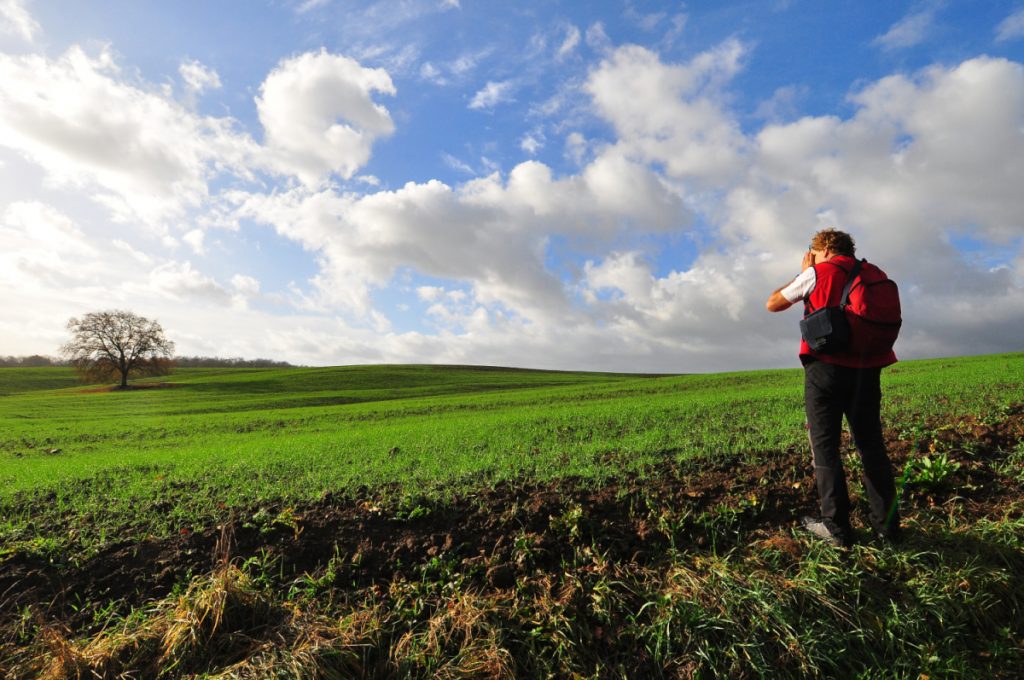 Veio, lungo la Via Francigena