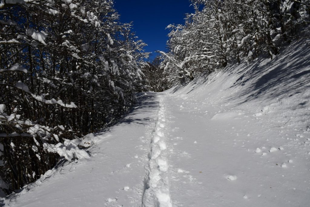 Verso Fonte della Moscosa, foto Stefano Ardito