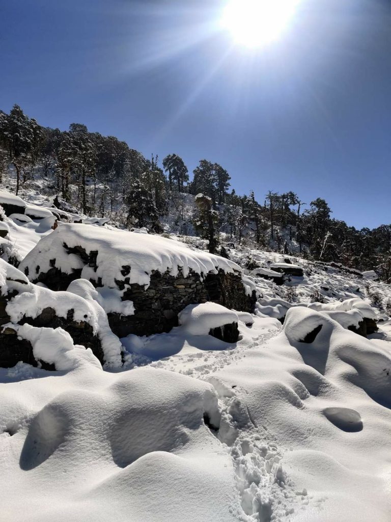 Dal Blog di Peter van Geit