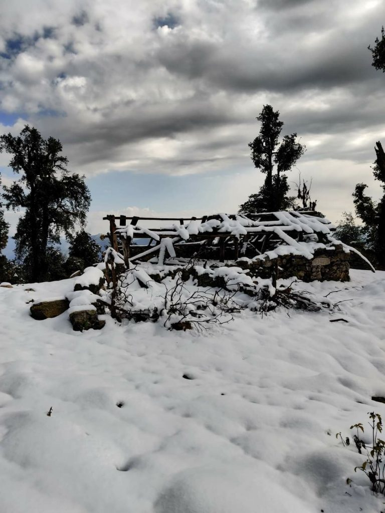 Dal Blog di Peter van Geit