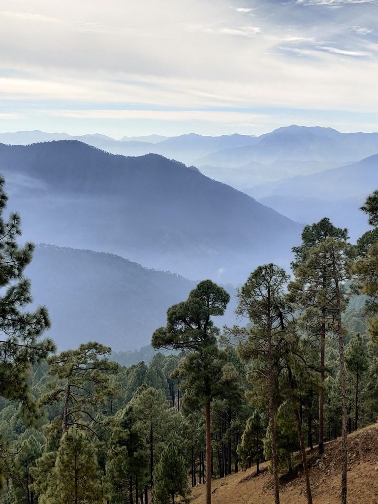 Dal Blog di Peter van Geit