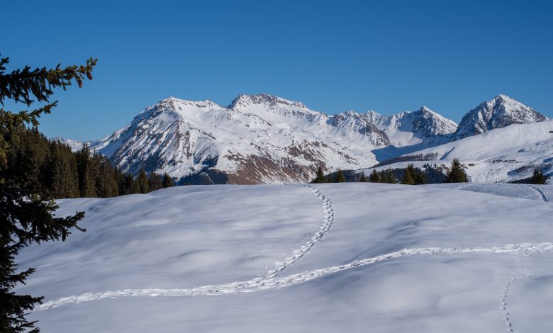 sasu, prudenza