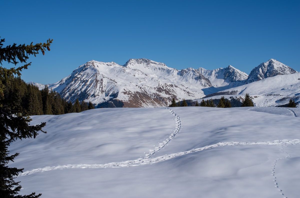 neve, prudenza