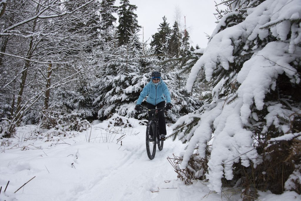 Nei boschi innevati con la mountain bike