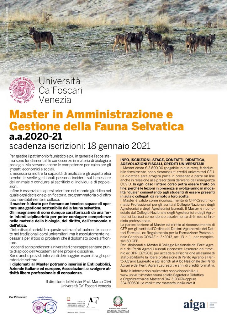 La locandina del master.