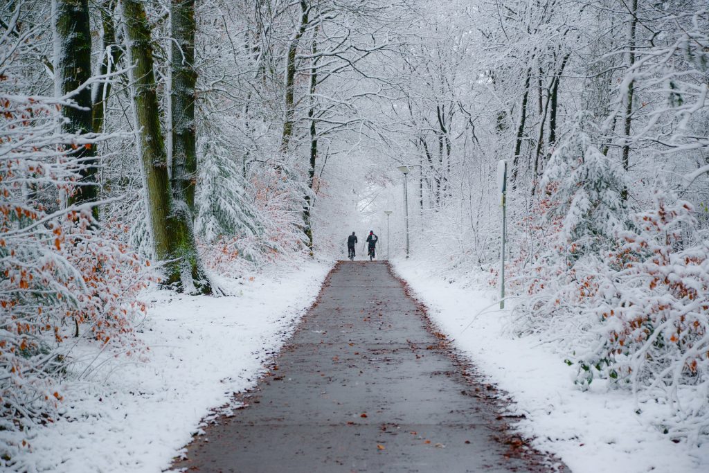 Sulla pista ciclabile, in inverno.