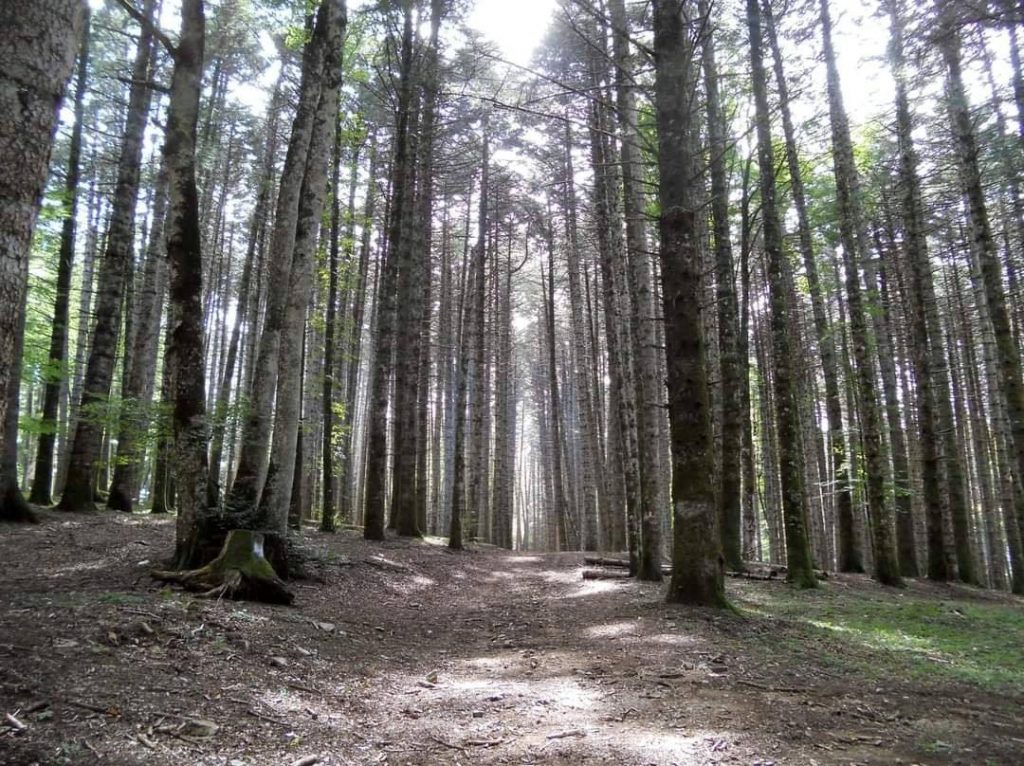 Foto FB CAI Reggio Calabria