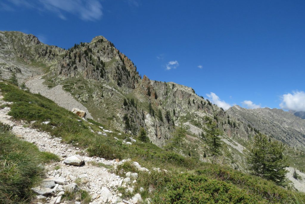 Foto FB Aree Protette Alpi Marittime