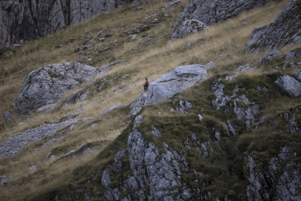 Foto FB PNALM - P. Gian Paolo Vanni