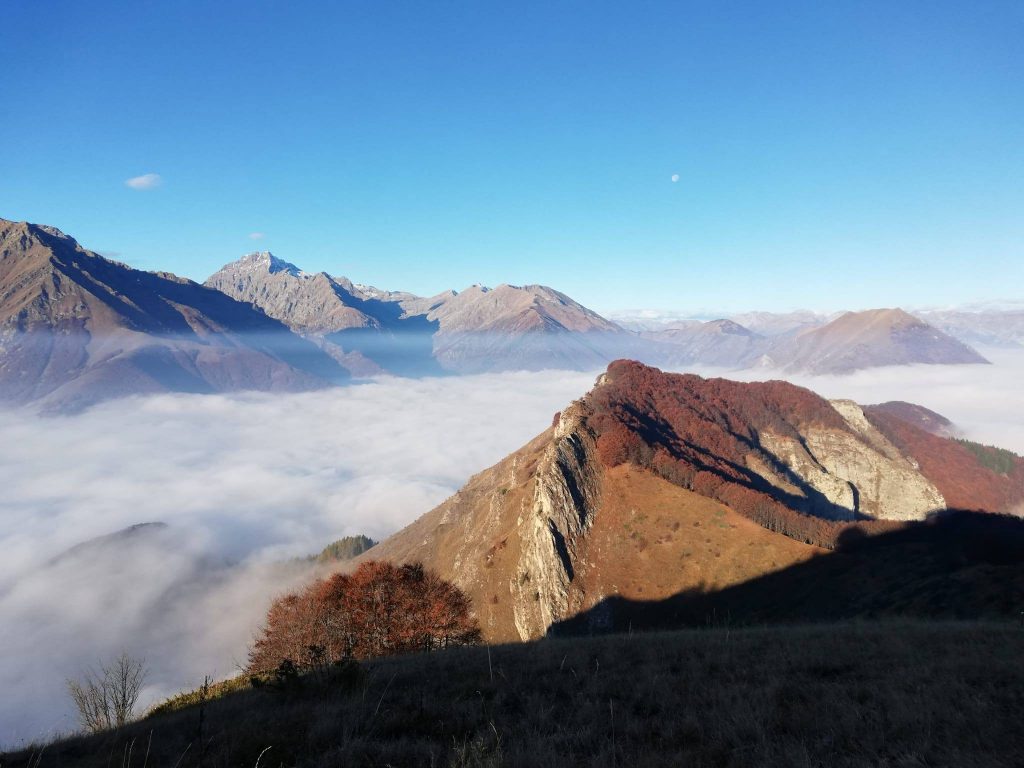Foto FB Aree Protette Alpi Marittime
