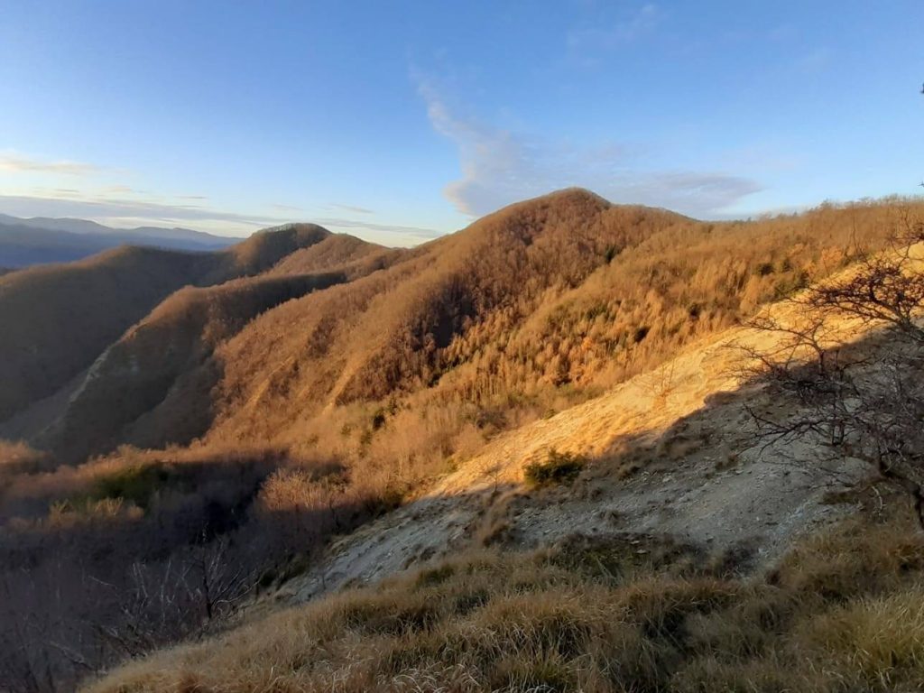 Foto FB Parco Nazionale Foreste Casentinesi