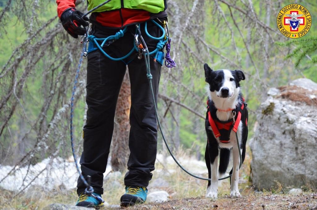 val camonica, disperso