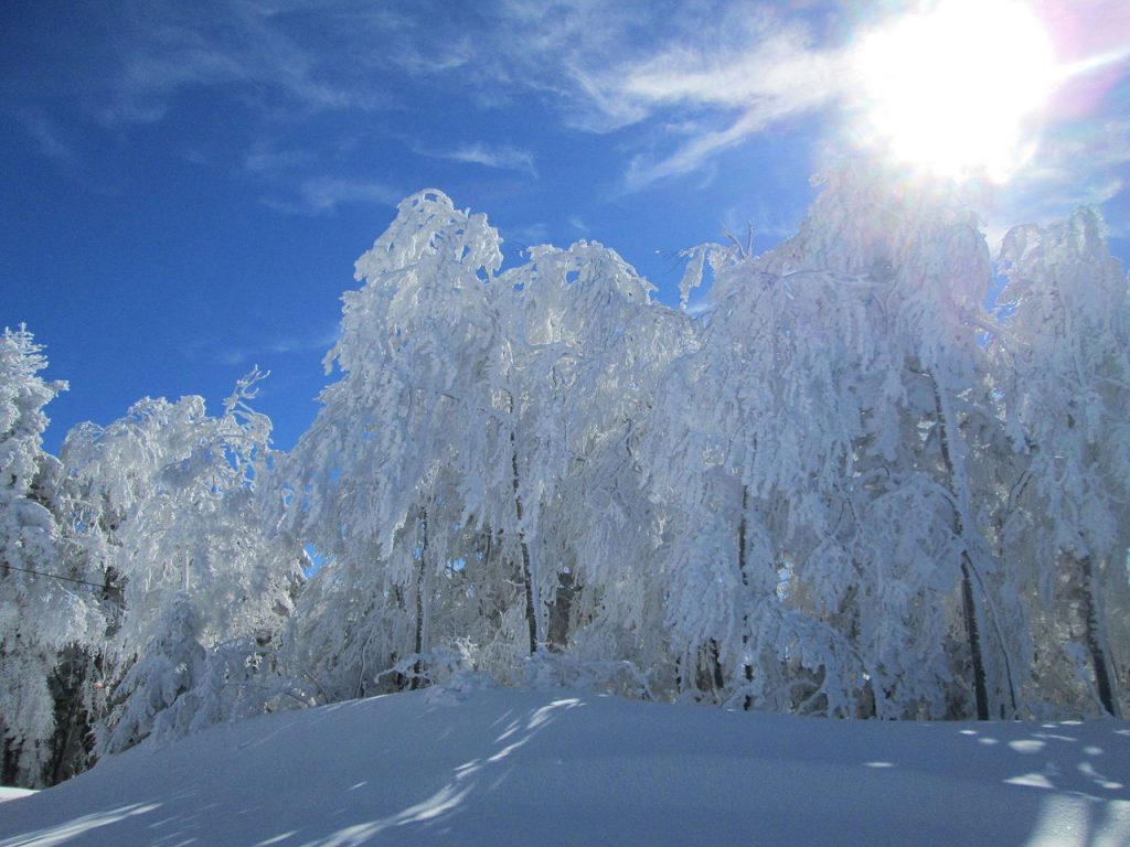 Neve a Gambarie - Foto Wikimedia Commons Ph. Domecost80