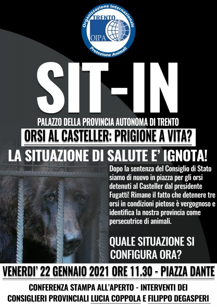 Sit-in 22.01.2021
