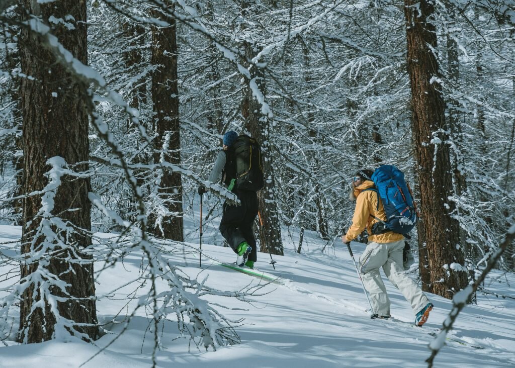 Nel bosco con gli sci.  Foto Ville Niiranen - Archivio ATL del Cuneese