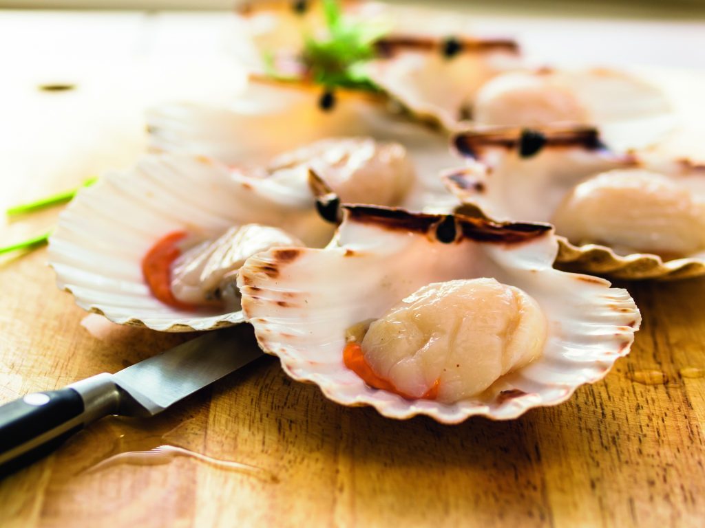 Protesa com’è nell’Atlantico, la Galizia è il regno di mariscos, crostacei
e molluschi. I nomi principali della conchiglia di San Giacomo,
detta anche pellegrina e capasanta, derivano dal fatto che
nel Medioevo era diffusissima sulle spiagge della Galizia, lungo
la via per il santuario di Santiago. Foto @ ISTOCKPHOTO