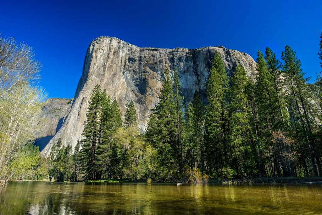 El Capitan, ben visibile a sinistra la porzione su cui corre "The Nose".