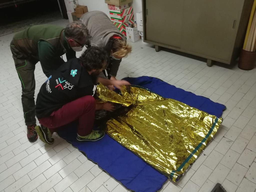 Foto FB Parco Nazionale Gran Paradiso