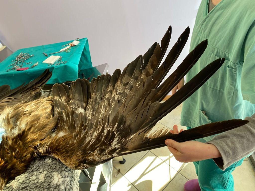 Foto FB Parco Nazionale Gran Paradiso