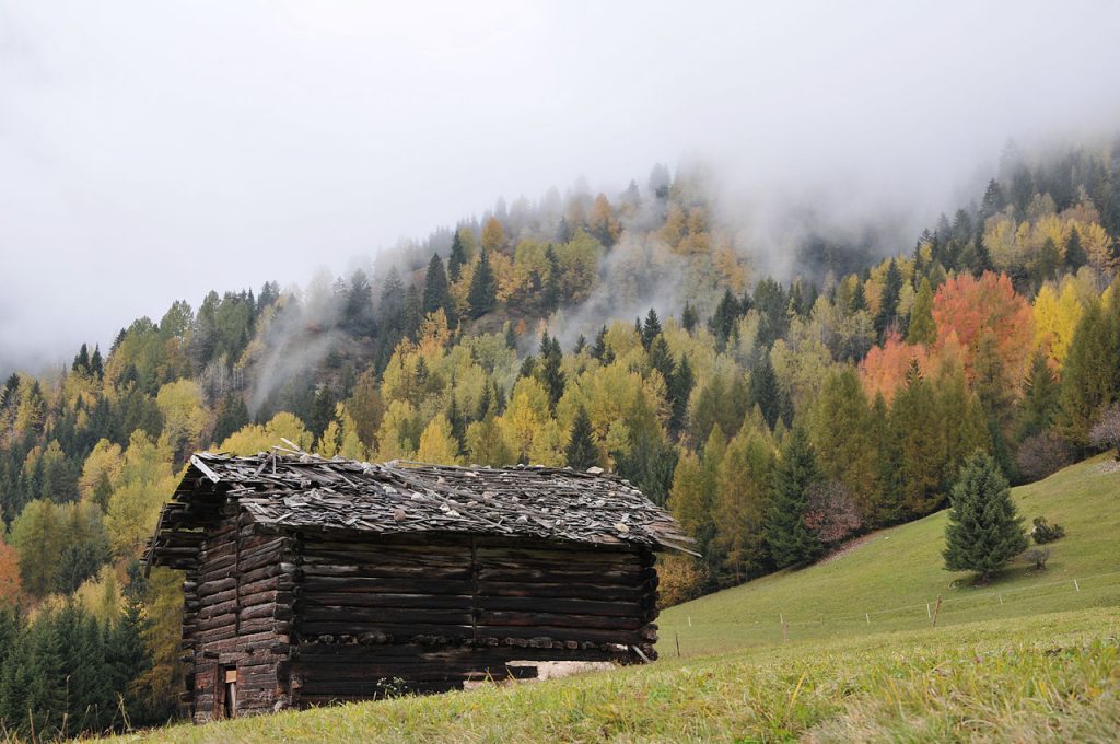 Autunno in Val di Fiemme - Foto Wikimedia Commons Ph. Luigi Torreggiani