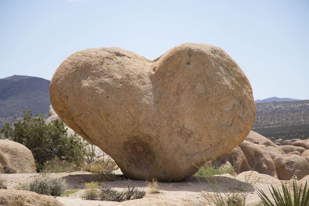 Heart Rock, Joshua Tree National Park - Foto Wikimedia Commons Ph. Joshua Tree National Park