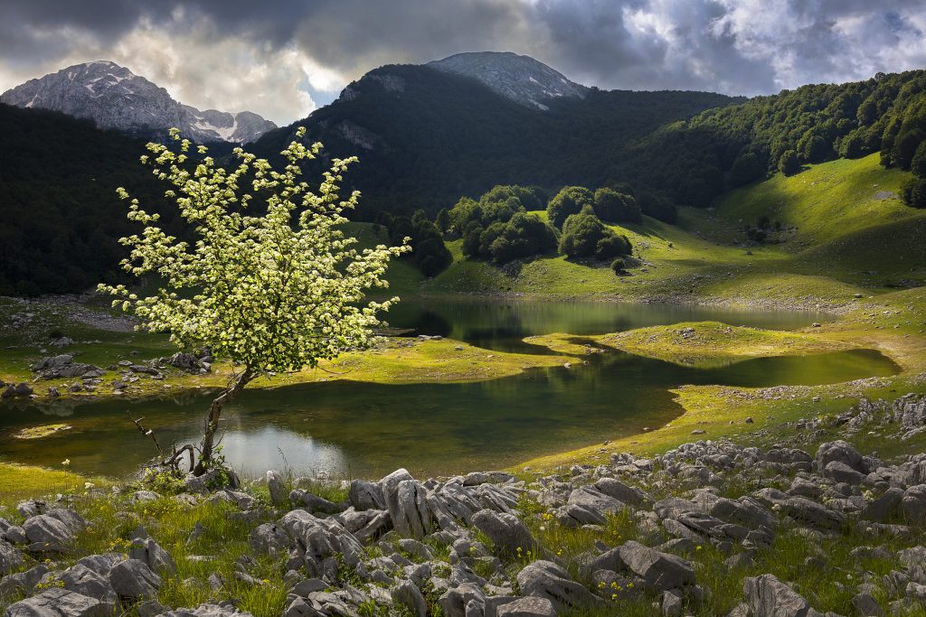 "Lights and clouds – Lago Vivo" - Marco Antonini - Paesaggio PNALM