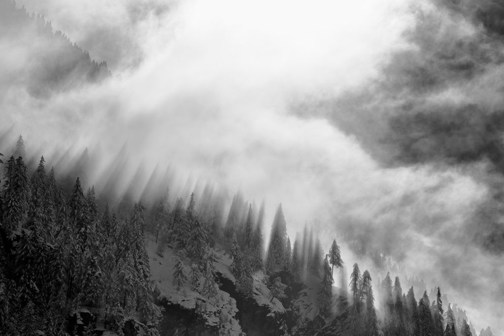 "Luce dirompente – Bois de Clin" - Daniele Passoni - Paesaggio PNGP