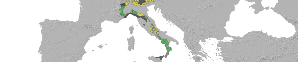 Tendenza pericolo valanghe domenica 28.02.2021 - SITO METEOMONT