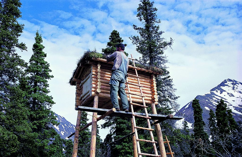 Copertura in muschio per il deposito materiali. Foto 1973-1999 Richard Proenneke