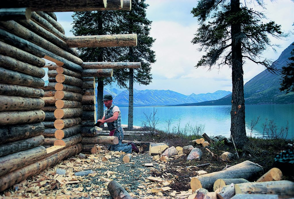 Omogeneizzazione dei lati della baita. Foto 1973-1999 Richard Proenneke