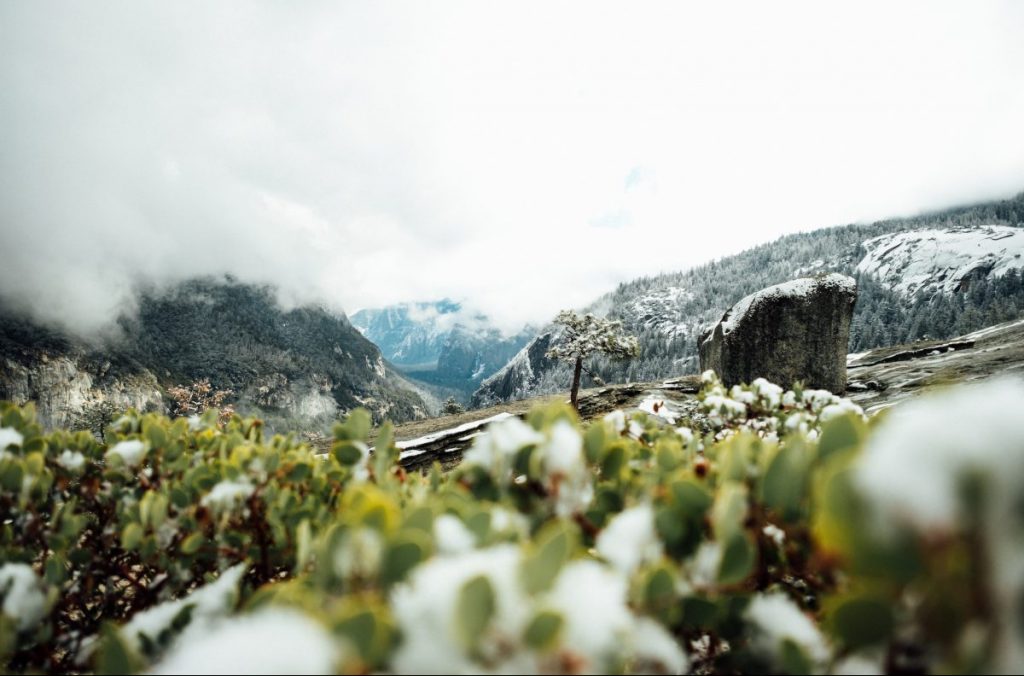 ghiacciai, biodiversità