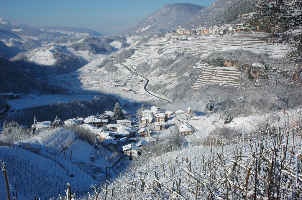 I vigneti della Valle di Cembra in inverno. Foto L. Kostner